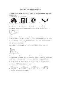 [数学]河南省驻马店市2023～2024数学年八年级下学期4月期中考试数学试题(无答案)