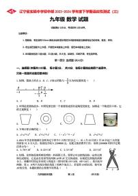 2024年辽宁省实验中学九年级中考三模数学试卷