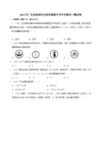 2024年广东省深圳市宝安区海滨中学中考数学三模试卷+
