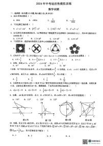 2024年广东省惠州市惠阳区 崇雅中学中考三模数学试题