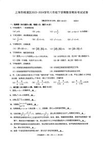 上海市杨浦区2023-2024学年下学期八年级数学期末试卷