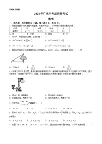 广东省佛山市南海区桂城街道文翰中学2023-2024学年九年级下学期6月月考数学试题(无答案)