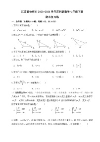 江苏省徐州市2023~2024学年苏科版数学七年级下册 期末复习练