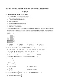 江苏省苏州市苏州高新区实验学校2023-2024学年八年级下学期5月月考数学试卷