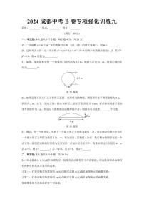 2024成都中考数学B卷专项强化训练九 (含答案)