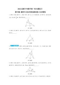 2024成都中考数学第一轮专题复习 微专题 遇到中点如何添加辅助线 知识精练(含答案)