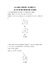 2024成都中考数学第一轮专题复习之第六章 微专题 圆的综合题 知识精练(含答案)