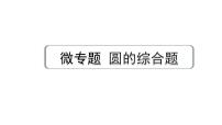 2024成都中考数学第一轮专题复习之第六章 微专题 圆的综合题 练习课件