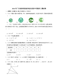 2024年广东省深圳实验学校光明部中考数学三模试卷