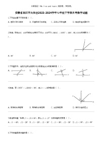 [数学]安徽省阜阳市太和县2023-2024数学年七年级下学期月考数学试题