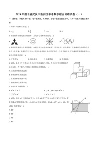 [数学]2024年湖北省武汉市新洲区中考数学综合训练模拟试卷（一）（含解析）
