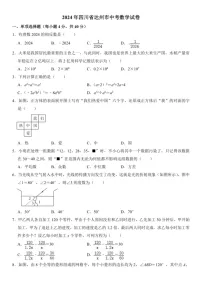 [数学]2024年四川省达州市中考数学试卷（含答案）