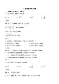 山东省泰安市岱岳区（五四制）2023-2024学年八年级下学期期中考试数学试卷(含解析)