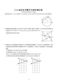 2024武汉中考数学压轴题合集