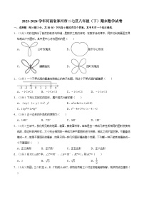 河南省郑州市二七区2023-2024学年八年级下学期期末数学试卷