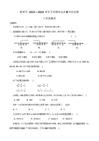 河南省郑州市新郑市2023-2024学年八年级下学期6月期末数学试题+