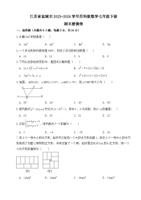 江苏省盐城市2023~2024学年苏科版数学七年级下册 期末猜测卷