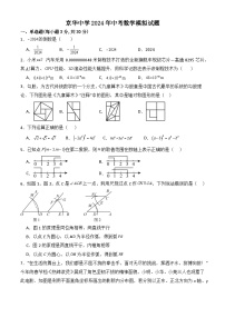 2024年湖南省永州市京华中学中考模拟数学试题