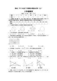 湖南省娄底市第二中学2023--2024学年八年级数学下册期末模拟试卷（五）