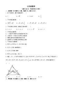 上海市黄浦区2023-2024学年七年级下学期期末数学试题(无答案)