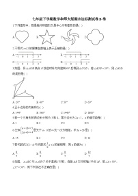 七年级下学期数学华师大版期末达标测试卷B卷