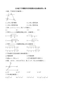 七年级下学期数学苏科版期末达标测试卷A卷