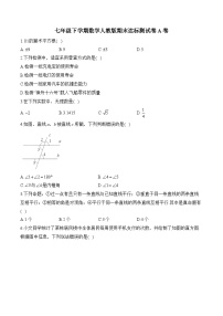 七年级下学期数学人教版期末达标测试卷A卷