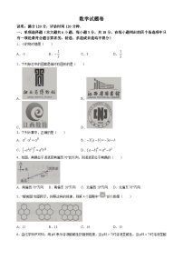 2024年江西省新余市第四中学中考模拟数学试题(无答案)