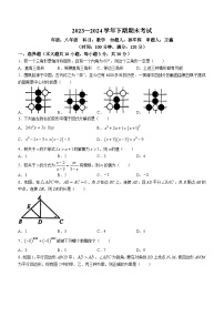 河南省郑州市实验中学2023-2024学年八年级下学期期末数学试题(无答案)