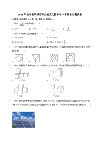 2024年山东省聊城市东昌府区文轩中学中考数学三模试卷