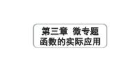 2024成都中考数学第一轮专题复习之第三章 微专题 函数的实际应用 练习课件