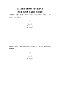 2024成都中考数学第一轮专题复习之第五章 微专题 半角模型 知识精练(含答案)