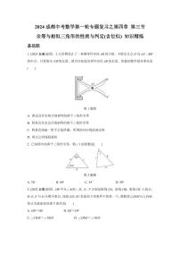 2024成都中考数学第一轮专题复习之全等与相似三角形的性质与判定(含位似) 知识精练(含答案)