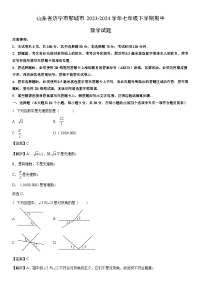 [数学]山东省济宁市邹城市2023-2024学年七年级下学期期中试题（解析版）