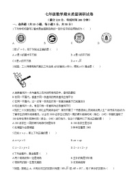 河南省信阳市平桥区2023-2024学年七年级下学期期末数学试题