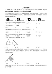 湖北省武汉市江岸区2023-2024学年八年级上学期期中考试数学试卷(含答案)