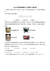 2024年河南省濮阳市中考数学三模试卷（含解析）