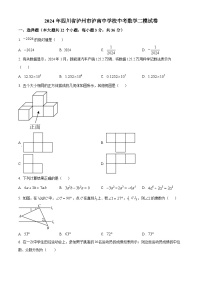 2024年四川省泸州市泸南中学校中考数学二模试题