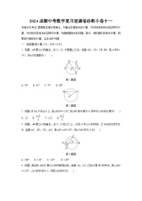 2024成都中考数学复习逆袭卷诊断小卷十一 (含详细解析)