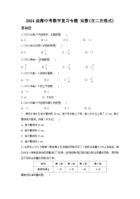 2024成都中考数学复习专题 实数(含二次根式)   (含答案)