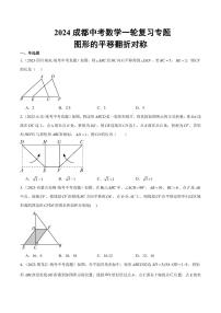 2024成都中考数学一轮复习专题 图形的平移翻折对称 (含解析)