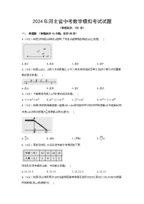 2024年河北省中考数学模拟考试试题（含答案）