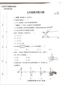 山东省 泰安市 岱岳区2023-2024学年七年级下学期数学期中试题