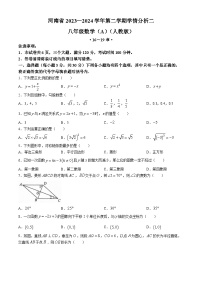 河南省2023-2024学年八年级下学期5月月考数学试题