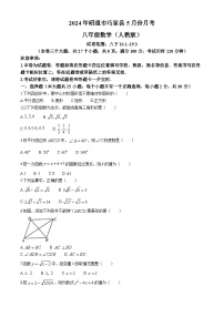 云南省昭通市巧家县2023-2024学年八年级下学期5月月考数学试题