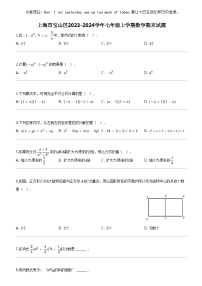 [数学]上海市宝山区2023-2024数学年七年级上学期数学期末试题