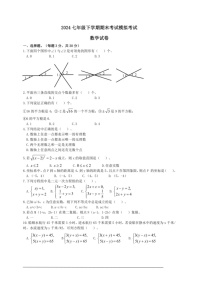 [数学]人教版2024年七年级下数学期期末模拟数学试卷(有答案)