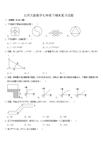 2023--2024学年北师大版七年级数学下册期末复习试题