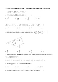 2023-2024学年鲁教版（五四制）八年级数学下册期末阶段复习练习题