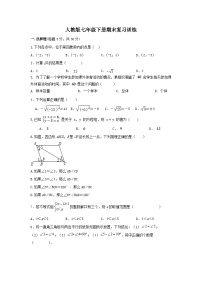 2023--2024学年人教版七年级数学下册期末复习训练试卷